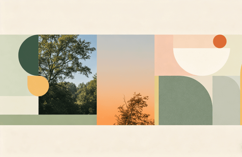 鍦伴潰淇濇姢鍨骇鍝佸浘